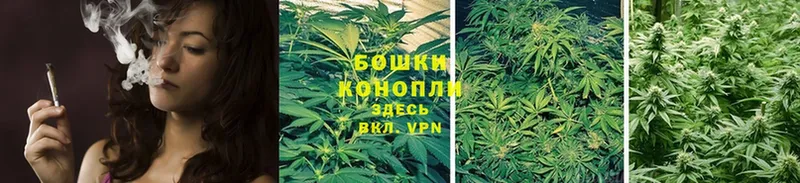 где можно купить наркотик  Зубцов  Шишки марихуана Bruce Banner 